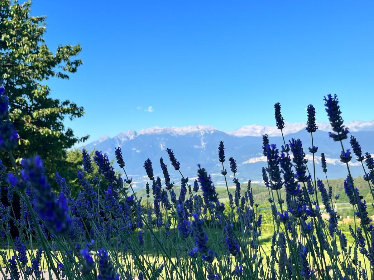 Ciasa Erica - Val Di Non Apartment Predaia Bagian luar foto